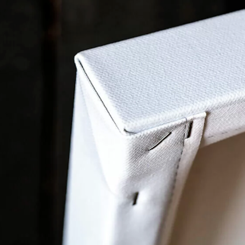 Fearless Girl with Bull